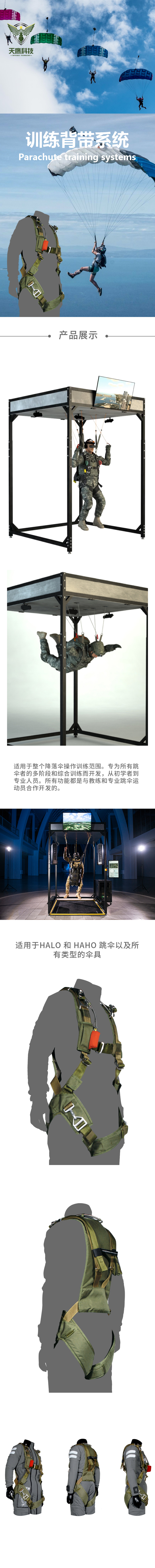 訓練背帶系統(圖1)
